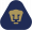 Pumas Logo